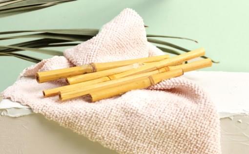 bamboo-small
